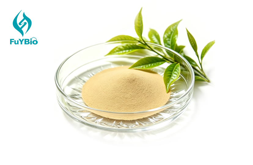 L-Theanine Powder Bulk